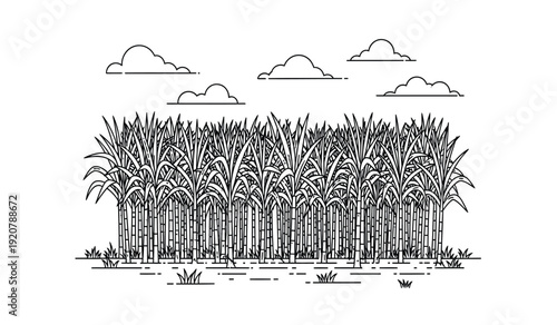 Black and white illustration of a palm tree forest with clouds in the sky