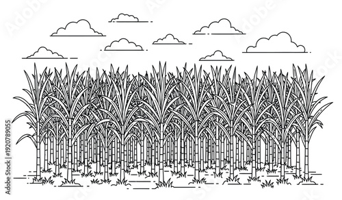 Black and white illustration of a palm tree forest under a cloudy sky