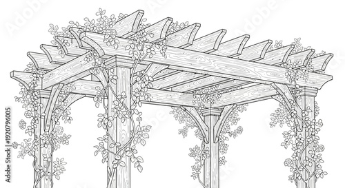 Detailed architectural sketch of a wooden pergola with climbing foliage