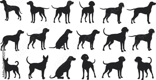 Black silhouette set of various dog breeds standing and sitting, domestic pets, hunting dogs, and canine animals isolated on white.