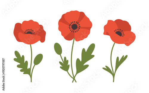 A minimalist vector illustration of three red poppies with green leaves on a white background