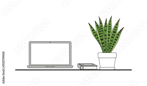 Minimalist workspace with laptop, books, and potted plant on desk