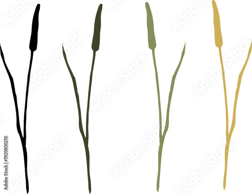 Wild Grass Silhouette, Hand Drawn Botanical Line Art Vector