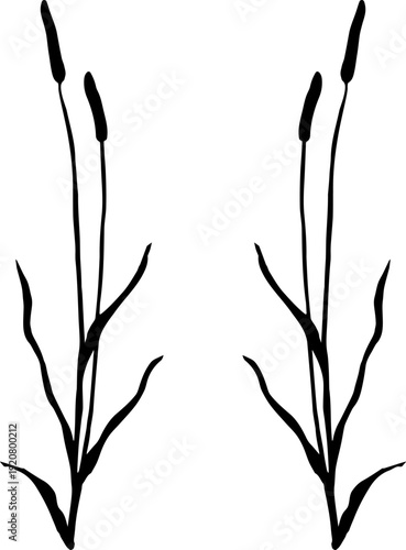 Wild Grass Silhouette, Hand Drawn Botanical Line Art Vector
