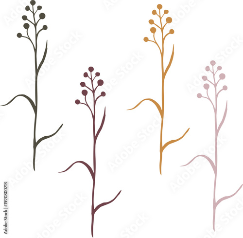 Wildflower Silhouette, Hand Drawn Botanical Line Art Vector