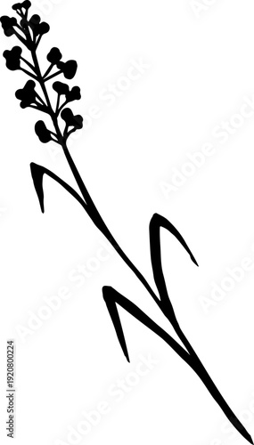Wildflower Silhouette, Hand Drawn Botanical Line Art Vector