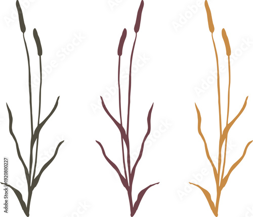 Wild Grass Silhouette, Hand Drawn Botanical Line Art Vector