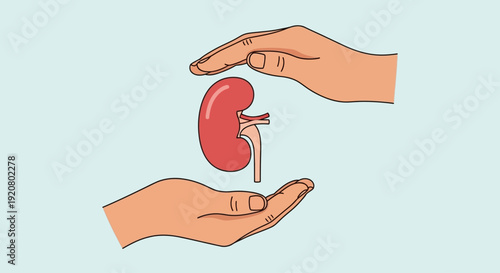 Hands holding a kidney on World Kidney Day symbolizing organ donation and healthcare awareness globally