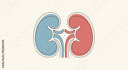Illustration of kidneys on World Kidney Day highlighting kidney health awareness globally