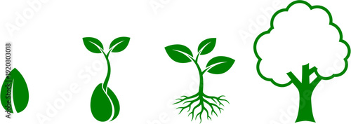 Stages of Plant Growth From Seedling to Mature Tree - A Visual Representation of Life Cycle and Development