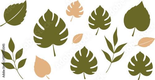 Tropical Leaves Illustration in Various Shapes and Sizes, Perfect for Nature-Themed Designs