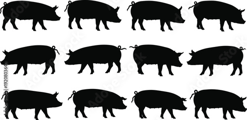 Pig silhouette vector illustration, farm animal graphics, livestock drawing collection, black and white agricultural art - flat vector illustration