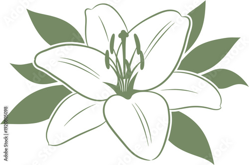 Elegant vector outline illustration of a blooming lily flower with lush green leaves, a timeless symbol of purity and natural beauty, perfect for botanical and floral design themes