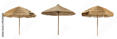 Canvastavla Set of 3 Tropical Straw Beach Umbrellas PNG, Realistic Thatch Palapa Sunshades f