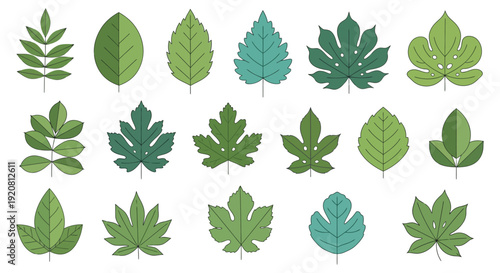 A collection of various green and teal leaf shapes arranged in rows displaying a flat design silhouette high quality professional detailed