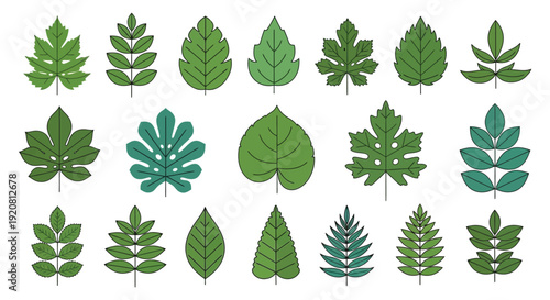A vibrant collection of various green leaves in a flat illustrative style arranged neatly in a grid silhouette high quality professional