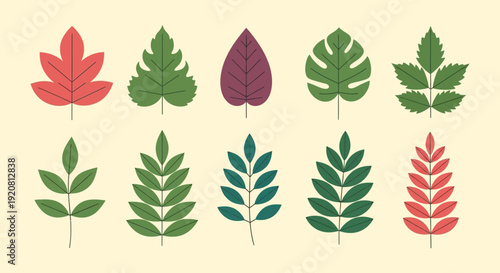 A collection of vibrantly colored flat design leaves arranged in rows showcasing diverse autumnal foliage silhouette high quality professional detailed modern