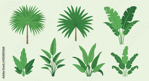 A vibrant collection of tropical palm and banana leaves displayed against a soft green backdrop silhouette high quality professional detailed modern