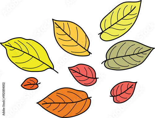 Colorful autumn leaves isolated on white background	
