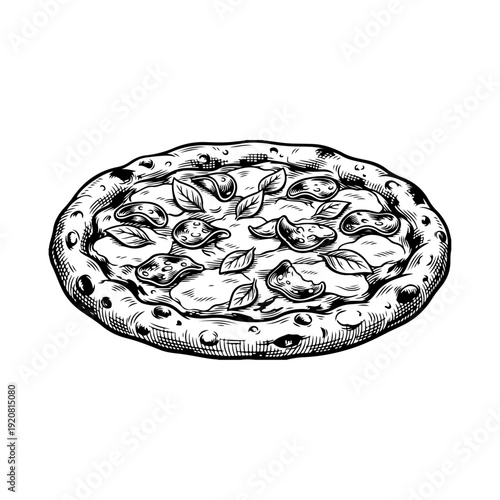 A vintage style engraving illustration of a pizza with cheese and basil leaves.