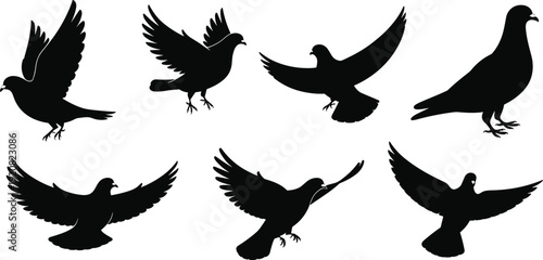 Collection of pigeon and dove silhouettes isolated on white background, black flying bird vector illustrations in various wing positions for wildlife design