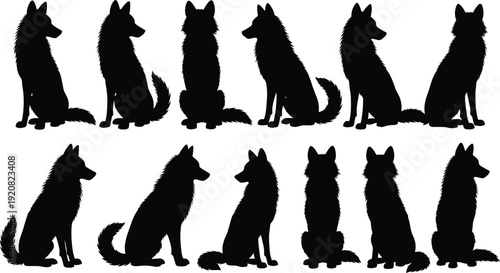 Collection of sitting fox silhouettes isolated on white background, black wild canine vector illustrations in different poses for wildlife design