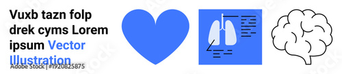 Healthcare, anatomy, medical research, wellness, organ function, diagnostics. Blue heart, lungs diagram and brain outline. Healthcare and anatomy concept emphasizing wellness and diagnostics