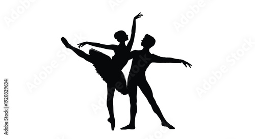 Two ballet dancers performing a dynamic pose a striking silhouette