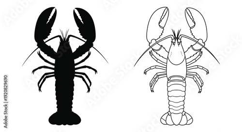 Two lobster illustrations one a dark striking silhouette
