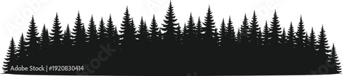Forest silhouette vector illustration, pine tree graphics, conifer woodland drawing, black and white nature art - flat vector illustration