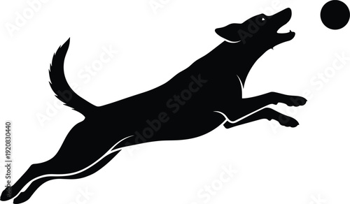 Leaping dog silhouette vector illustration, playful pet graphics, ball catching drawing, black and white animal motion art - flat vector illustration