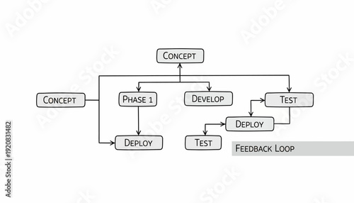 Development Process Flowchart with Feedback Loop.