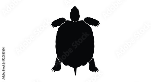 A stark black silhouette of a turtle top down view silhouette