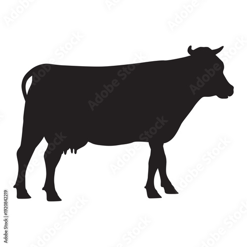 Silhouette of a cow with a white background