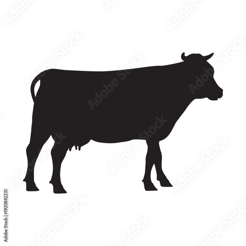Silhouette of a cow with a white background