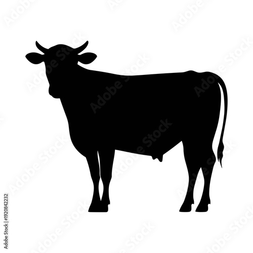 silhouette of a cow