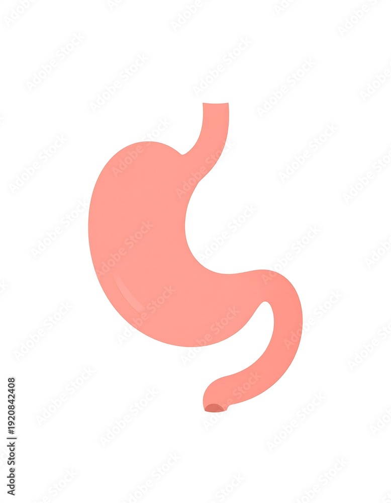 Fototapeta premium A pink stomach illustration on a white background (1)