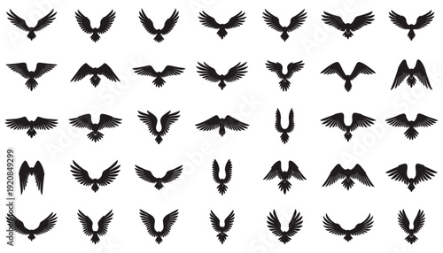 Collection of various black bird silhouettes in different flying positions.