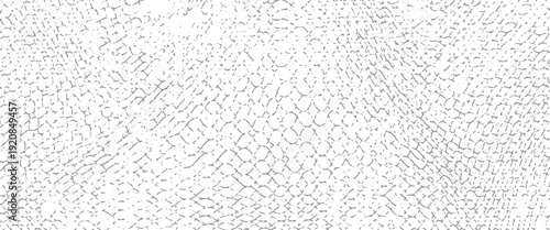 Black snake skin pattern isolated on white background eps 10