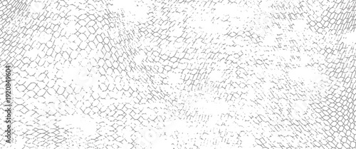 Black snake skin pattern isolated on white background eps 10