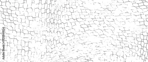 Black snake skin pattern isolated on white background eps 10