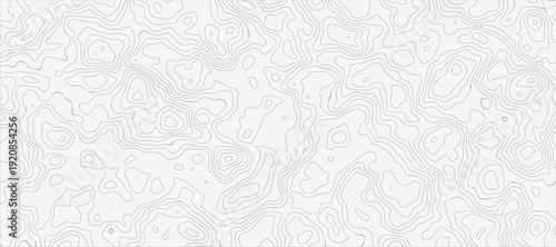 Topographic Contour Line Pattern Abstract Background with Organic Black and White Map Lines grid topo map texture background.