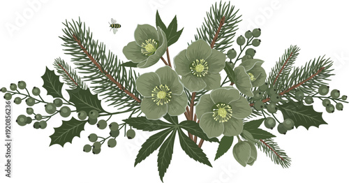 Christmas tree branches and a branch of a pine feature green leaves and foliage in a macro closeup showing a nature pattern of plants and flora isolated for seasonal decoration