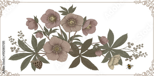 Vintage floral arrangement with hellebore flowers and decorative leaves on white background