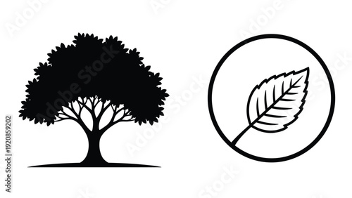 Silhouette of a large deciduous tree next to a circular icon containing a single leaf, representing nature conservation and forestry.