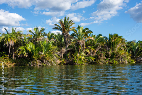 Landscape of Maranhão from Tocantins River - Carolina, State of Maranhão