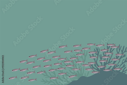 School of small fish swimming near coral reef underwater