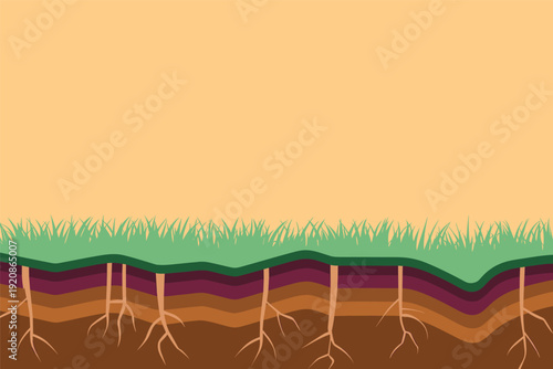 Cross-section of layered soil with grass roots growing deep