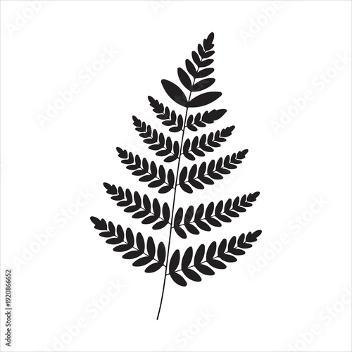 Leaf Fern Silhouette, Fern Leaf Botanical Silhouette Illustration Vector
