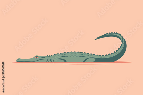 Green alligator lying on ground with tail curled up
